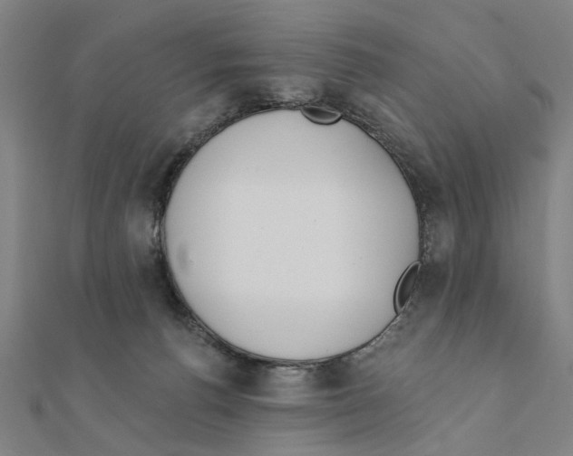X0000111220176200907301233