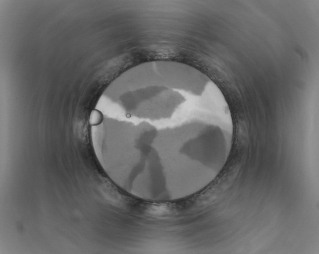 X0000111220177200907301233