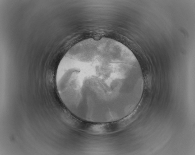 X0000111220178200907301233