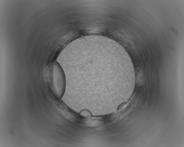 X0000111220179200907301233