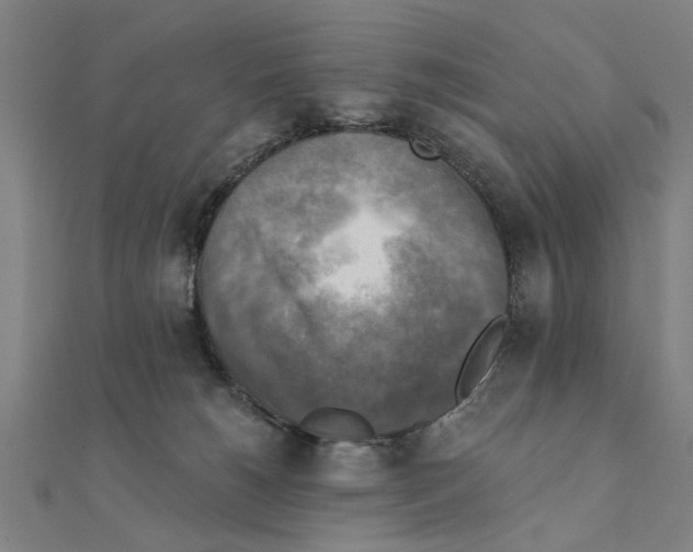 X0000111220180200907301233
