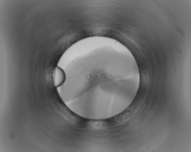 X0000111220181200907301233