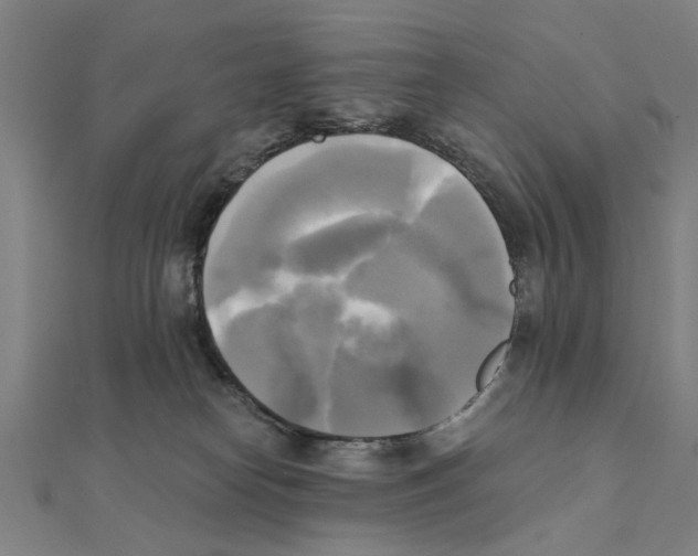 X0000111220182200907301233