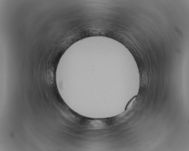 X0000111220183200907301233