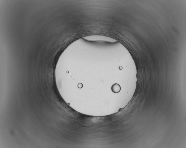 X0000111220184200907301233