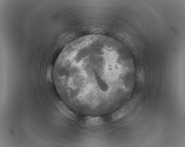 X0000111220185200907301233