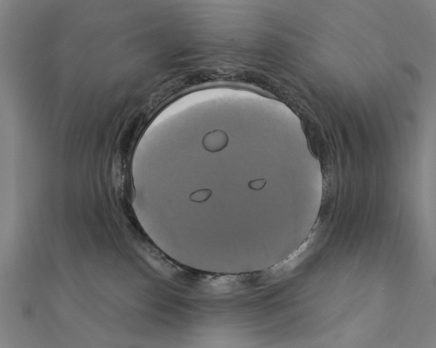 X0000111220186200907301233