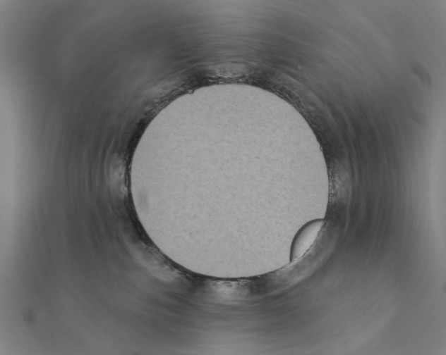 X0000111220187200907301233