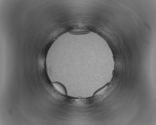 X0000111220188200907301233