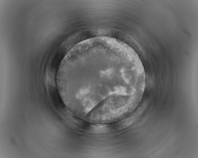 X0000111220189200907301233
