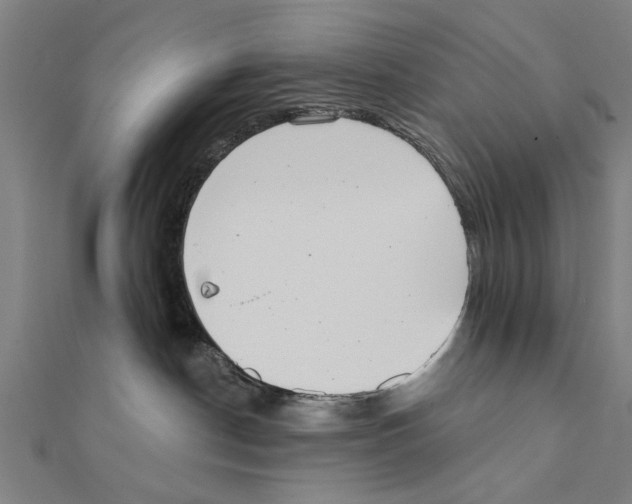 X0000111220190200907301233