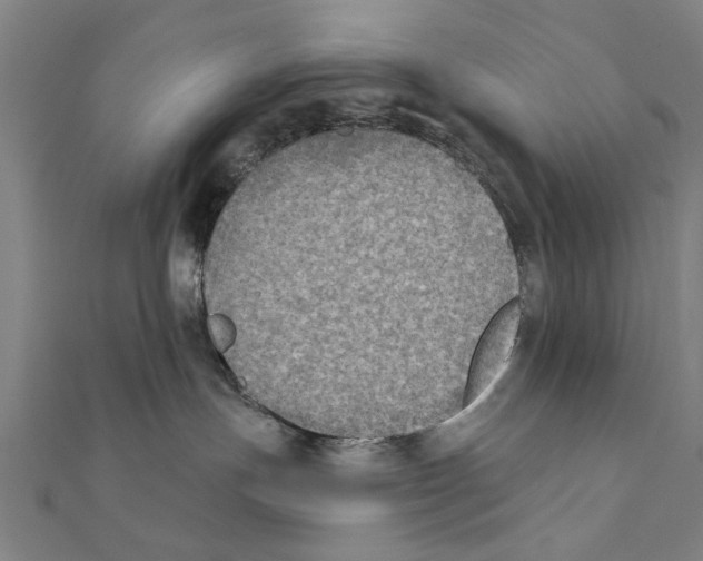 X0000111220191200907301233
