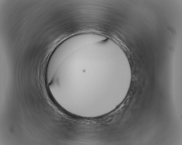 X0000111220193200907301233
