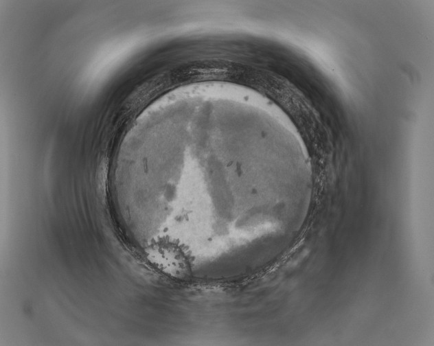 X0000111220194200907301233