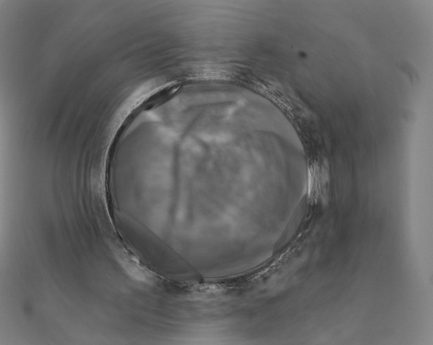 X0000111220195200907301233