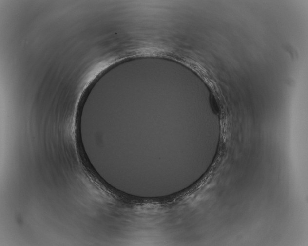 X0000111220196200907301233