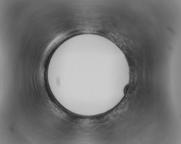 X0000111220197200907301233