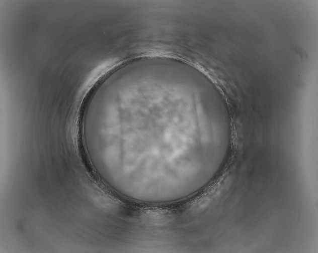 X0000111220199200907301233