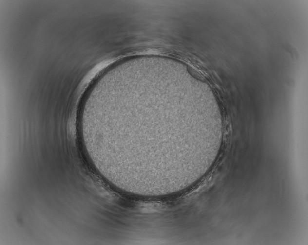 X0000111220200200907301233
