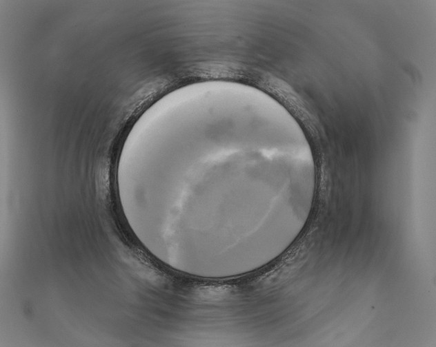 X0000111220202200907301233