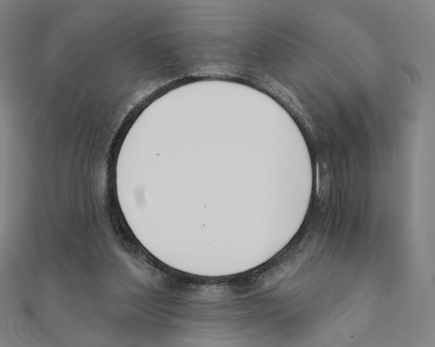 X0000111220204200907301232