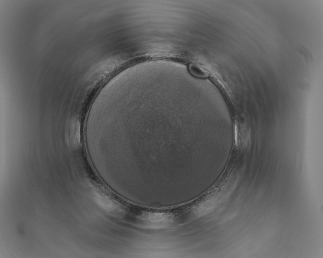 X0000111220205200907301232