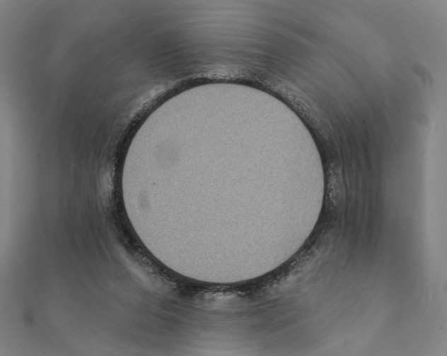 X0000111220208200907301232