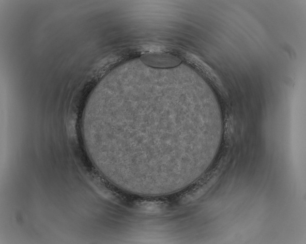 X0000111220209200907301232