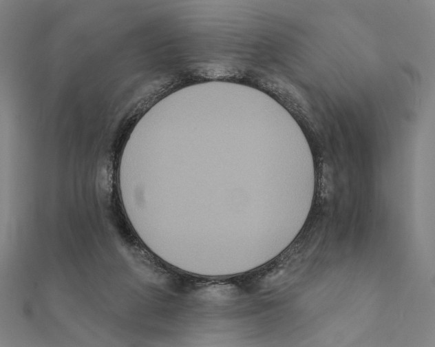 X0000111220210200907301232