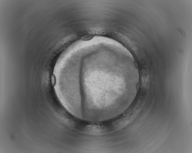 X0000111220211200907301232