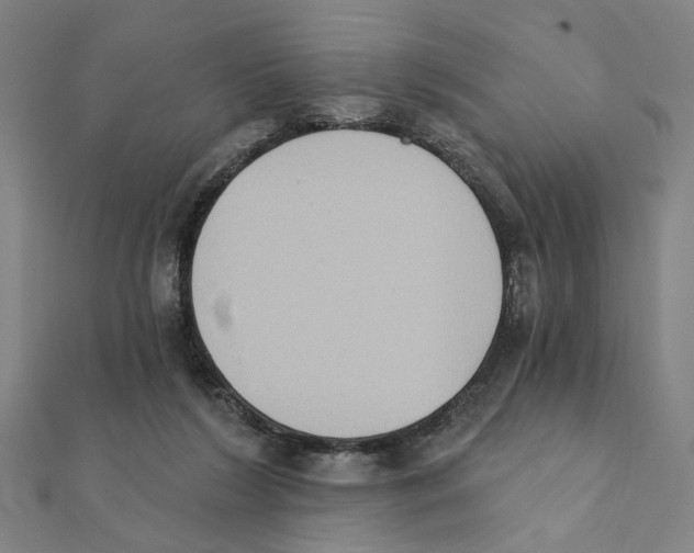 X0000111220212200907301232