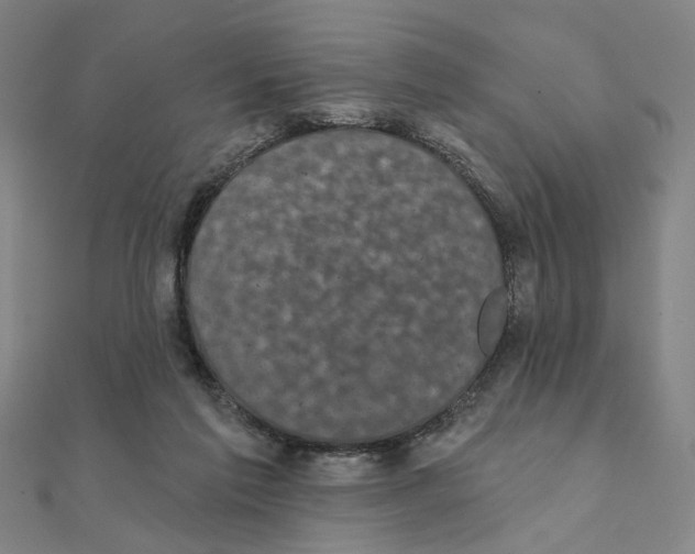 X0000111220213200907301232