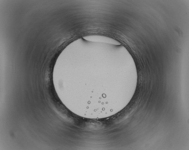 X0000111220215200907301232