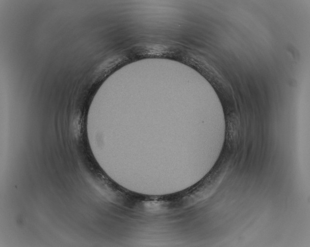 X0000111220216200907301232