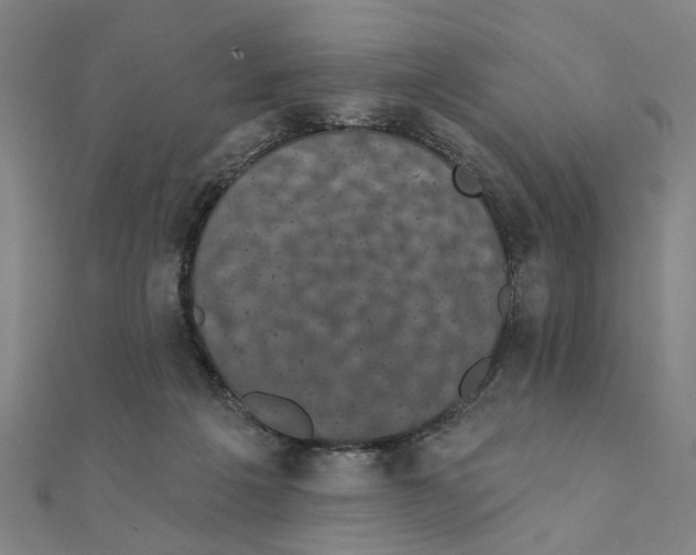 X0000111220217200907301232