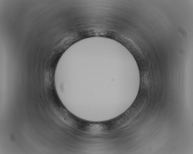 X0000111220218200907301232