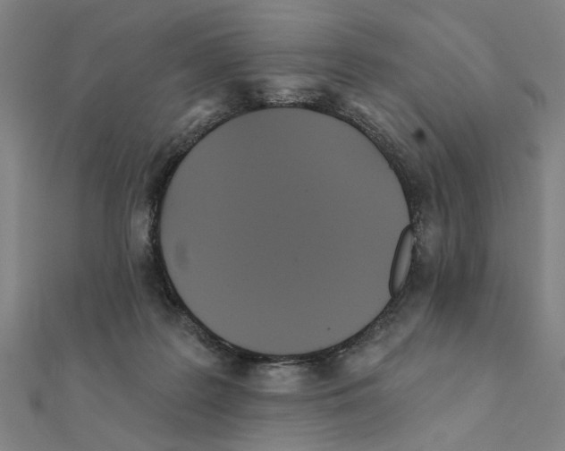 X0000111220219200907301232