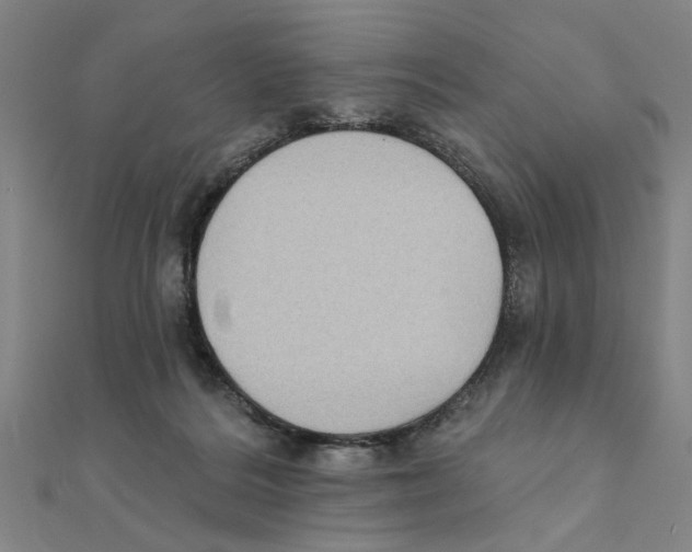 X0000111220220200907301232