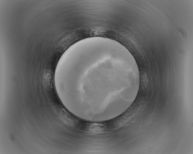 X0000111220222200907301232