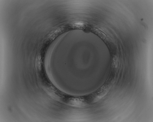 X0000111220223200907301232