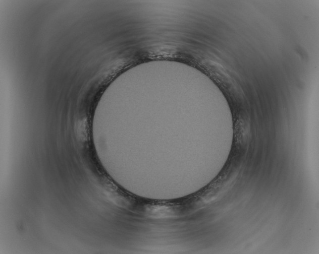 X0000111220224200907301232