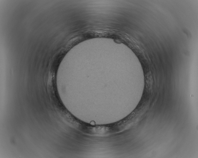 X0000111220225200907301232
