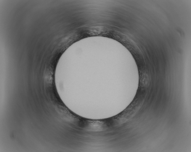 X0000111220226200907301232