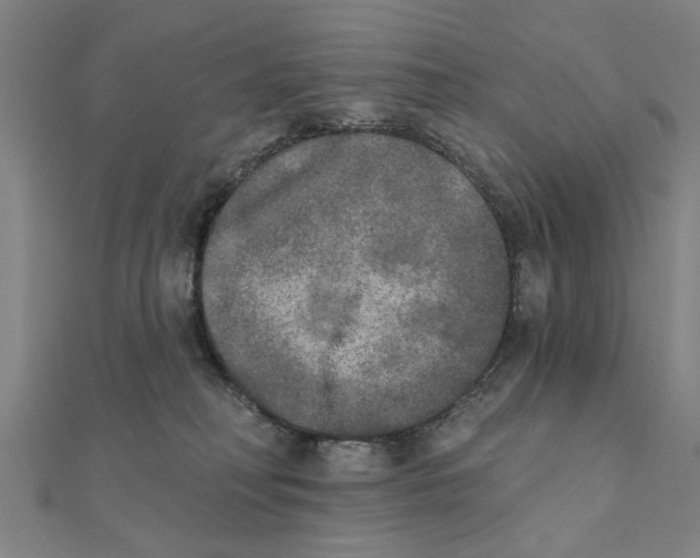X0000111220230200907301232