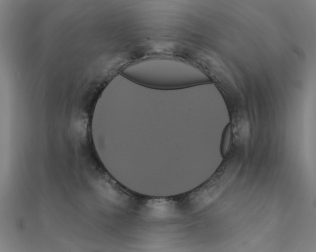 X0000111220231200907301232