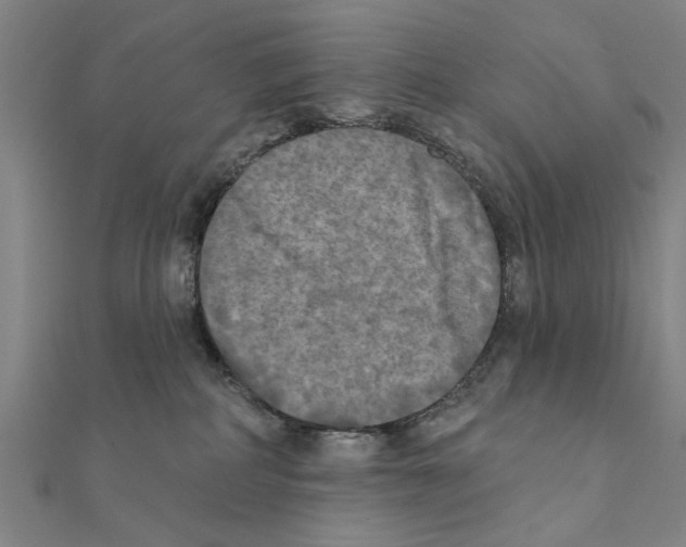 X0000111220234200907301232