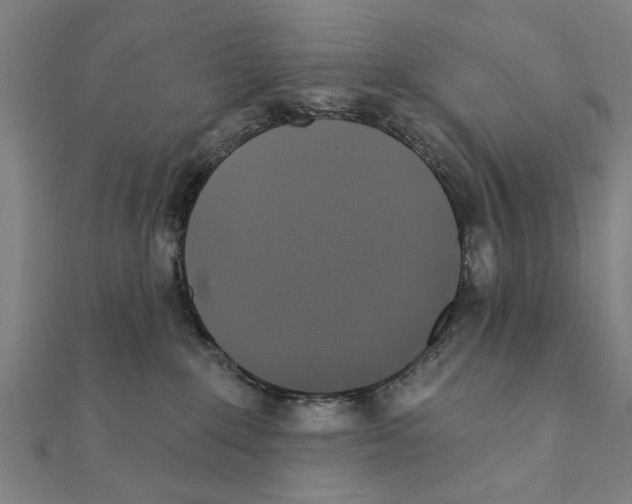 X0000111220235200907301232