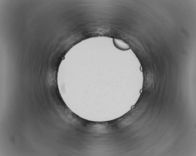 X0000111220236200907301232