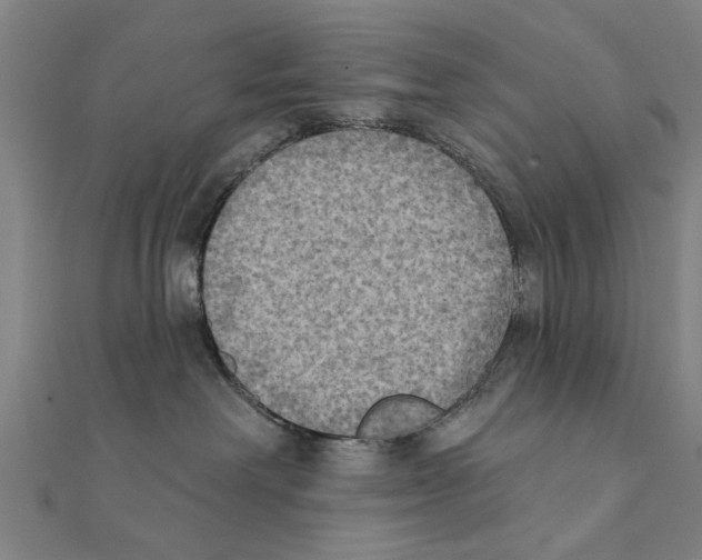 X0000111220238200907301232