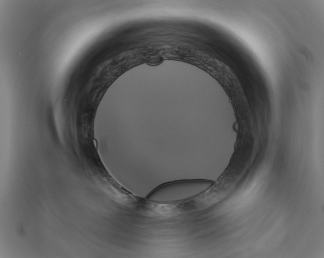 X0000111220239200907301232